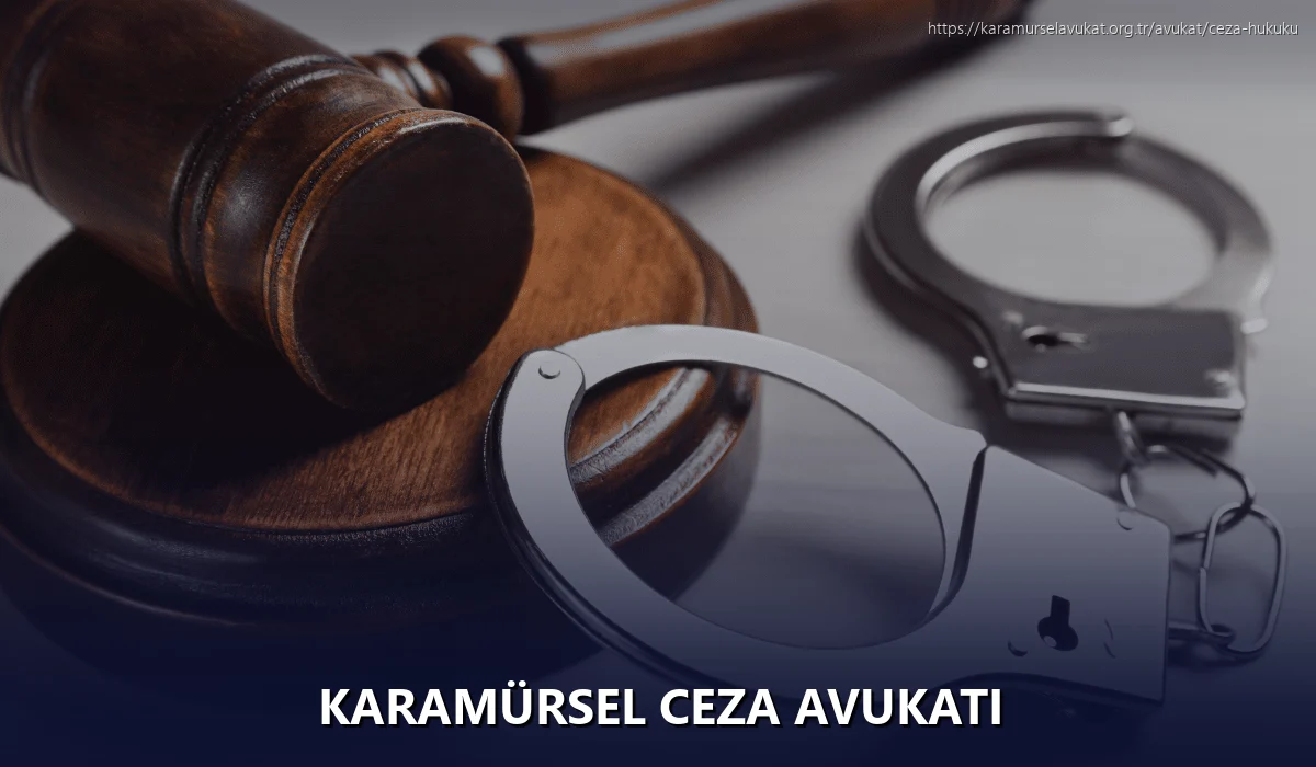 Karamürsel Ceza Avukatı
